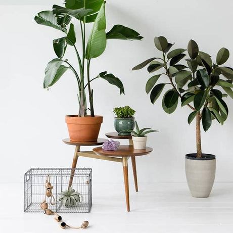 طاولة قهوة مزدوجة - LEGACY