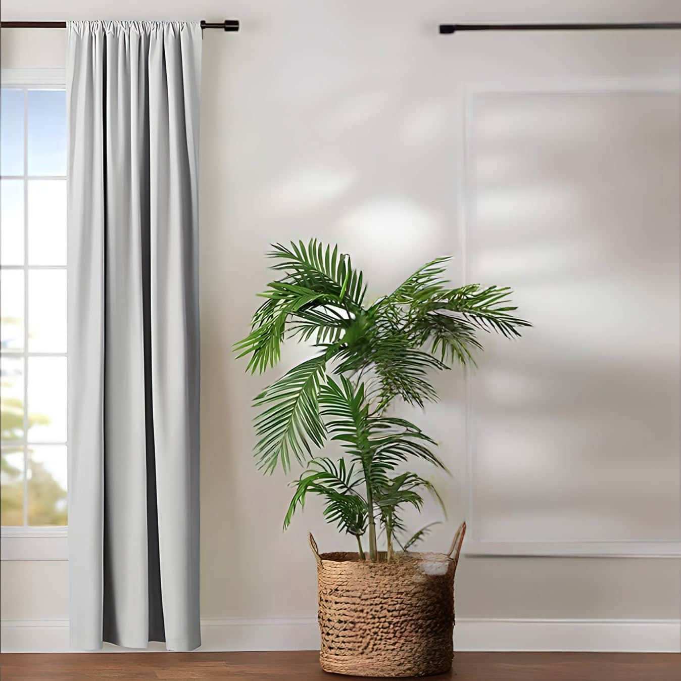 ستارة لون فضي - Baytuk