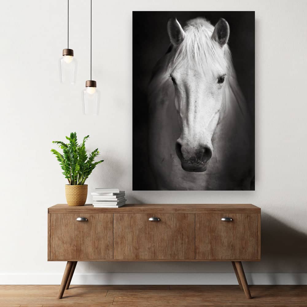 تابلوه برسم خيل ابيض