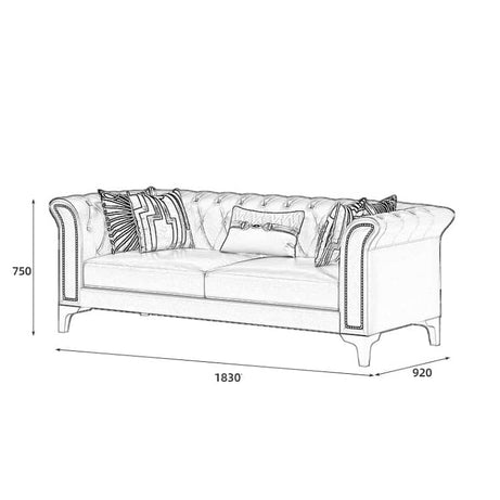 كنبة جلد كابتونية - VELA
